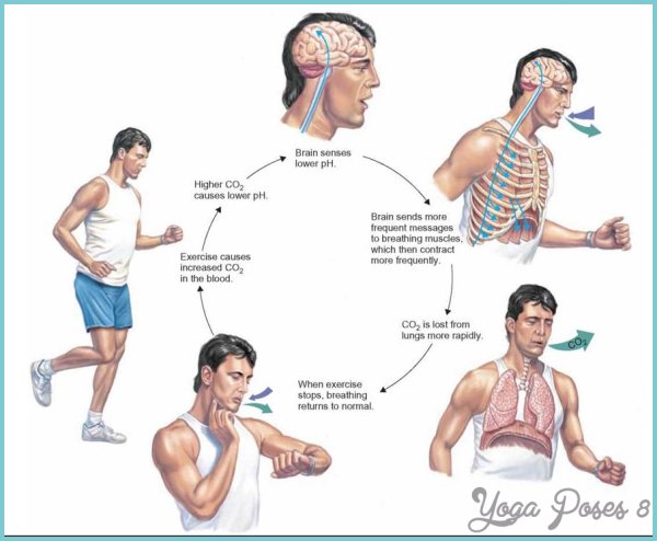 BREATH CONTROL DURING PHYSICAL EXERCISE_3.jpg